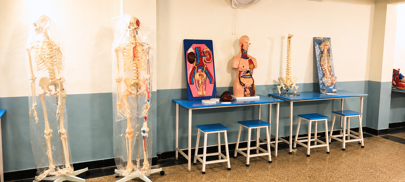 Anatomy learning laboratory